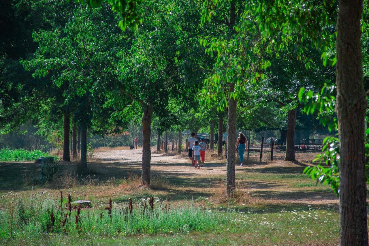Village De Gites De La Foret De Ganigal Le Malzieu-Ville Exteriör bild
